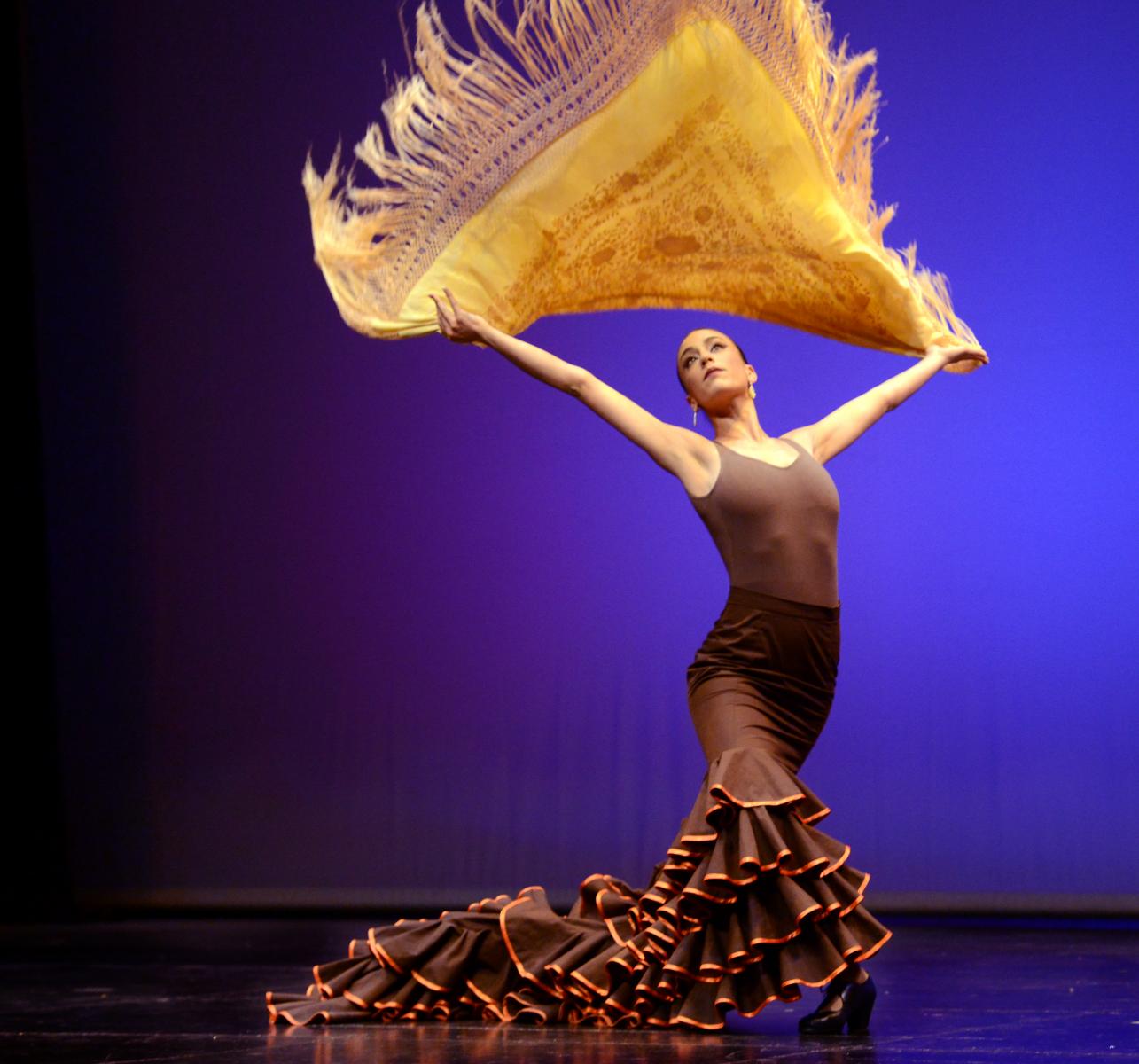 Festival de danza y flamenco