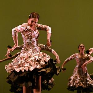 Fotografía de Concurso de Coreografías. Nivel II - Conservatorio de Danza