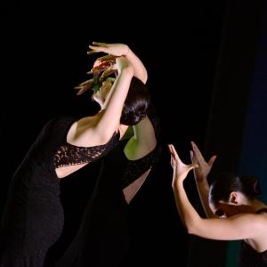 Fotografía de Festival de Danza y Flamenco - Conchi Cabrera