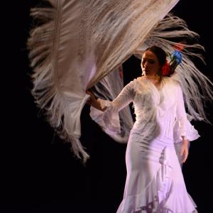 Fotografía de Festival de Danza y Flamenco - Conchi Cabrera