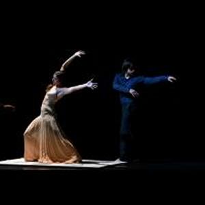 Fotografía de El amor brujo - Granada Tanz Teatro