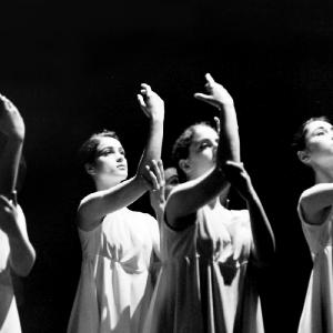Fotografía de Muestra Terpsícore - Terpsícore, Taller de Danza