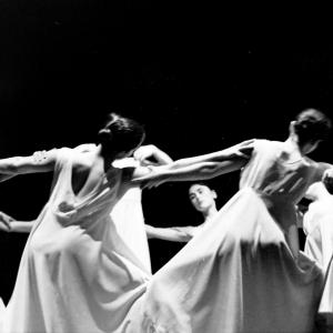 Fotografía de Muestra Terpsícore - Terpsícore, Taller de Danza