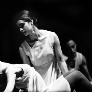 Fotografía de Muestra Terpsícore - Terpsícore, Taller de Danza